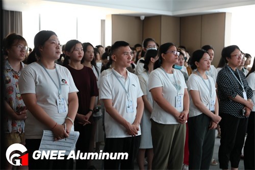 GNEE Hard Tempere Aluminium Foil GNEE Hard Tempere Aluminium Foil